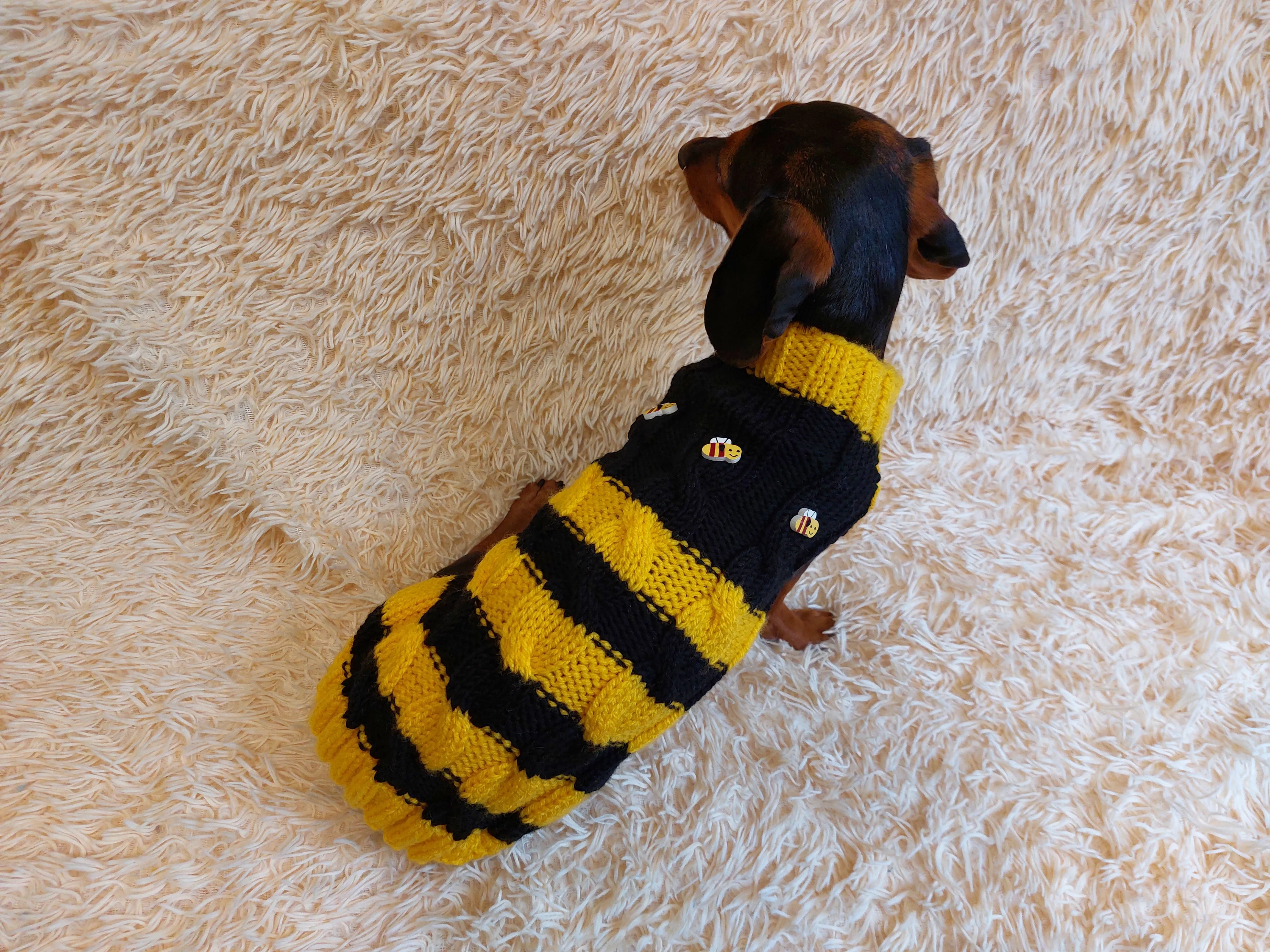 Bee knitted jumper for pets, bee sweater for dog, dachshund bee dog sweater