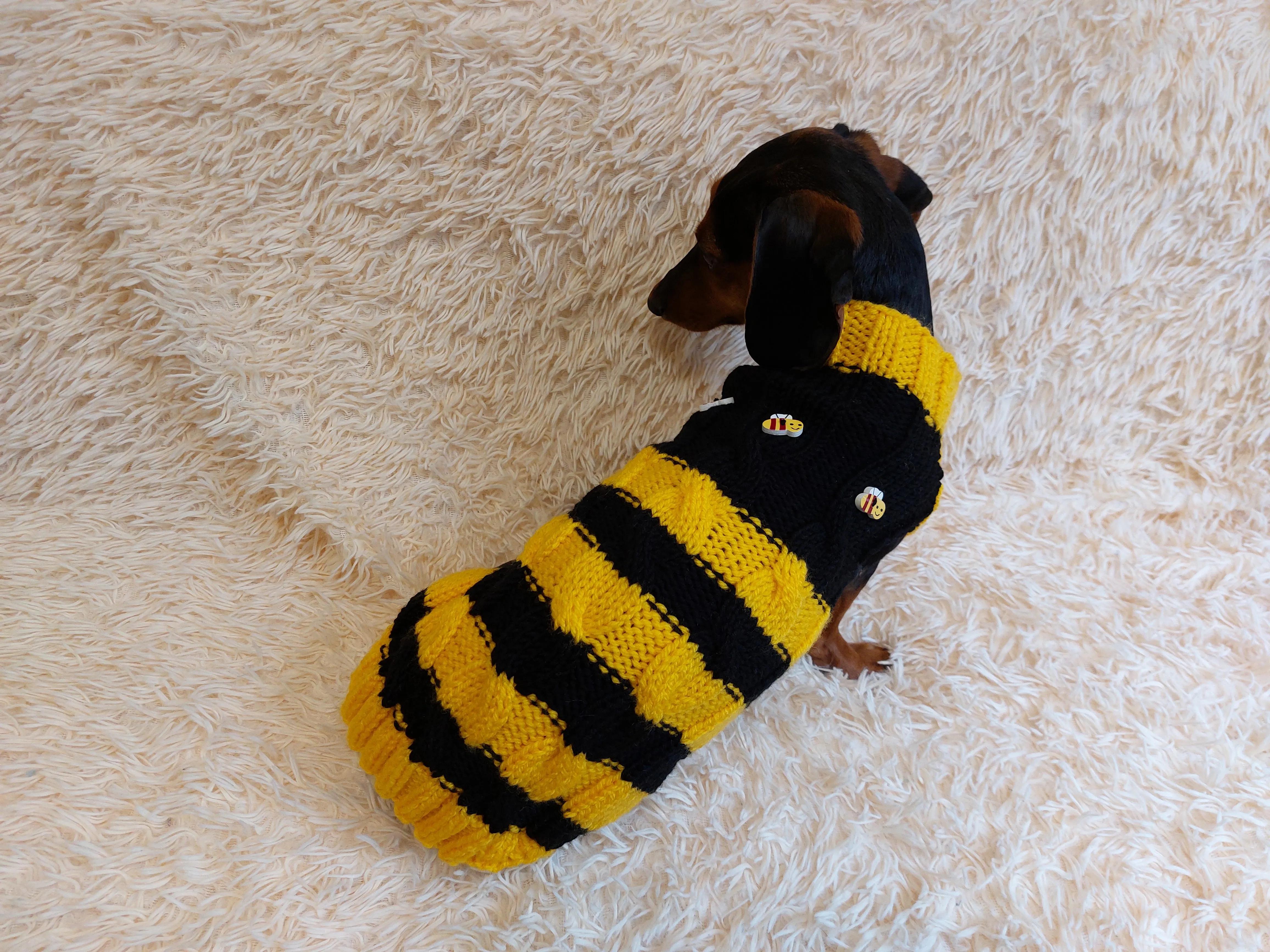 Bee knitted jumper for pets, bee sweater for dog, dachshund bee dog sweater