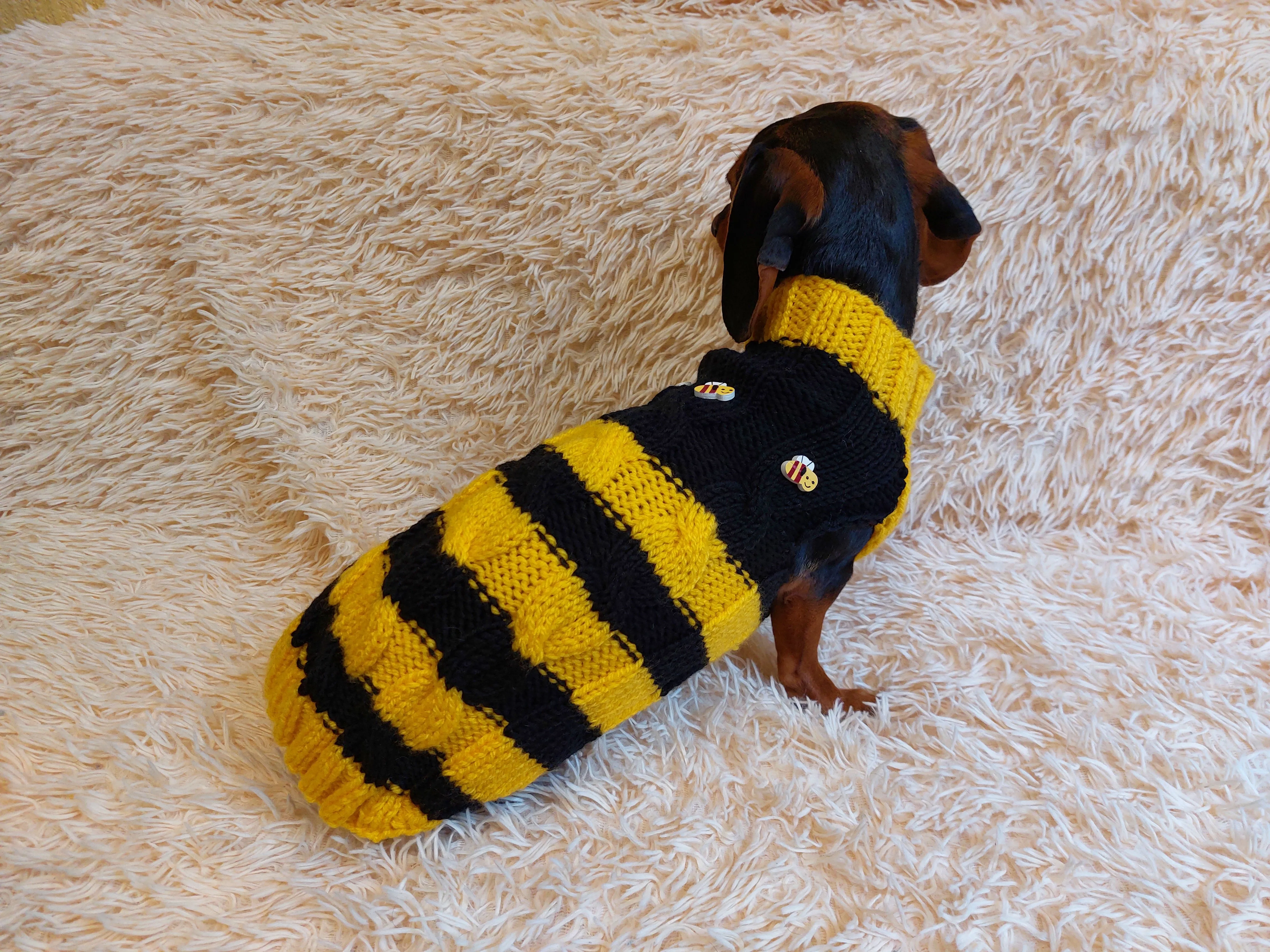 Bee knitted jumper for pets, bee sweater for dog, dachshund bee dog sweater