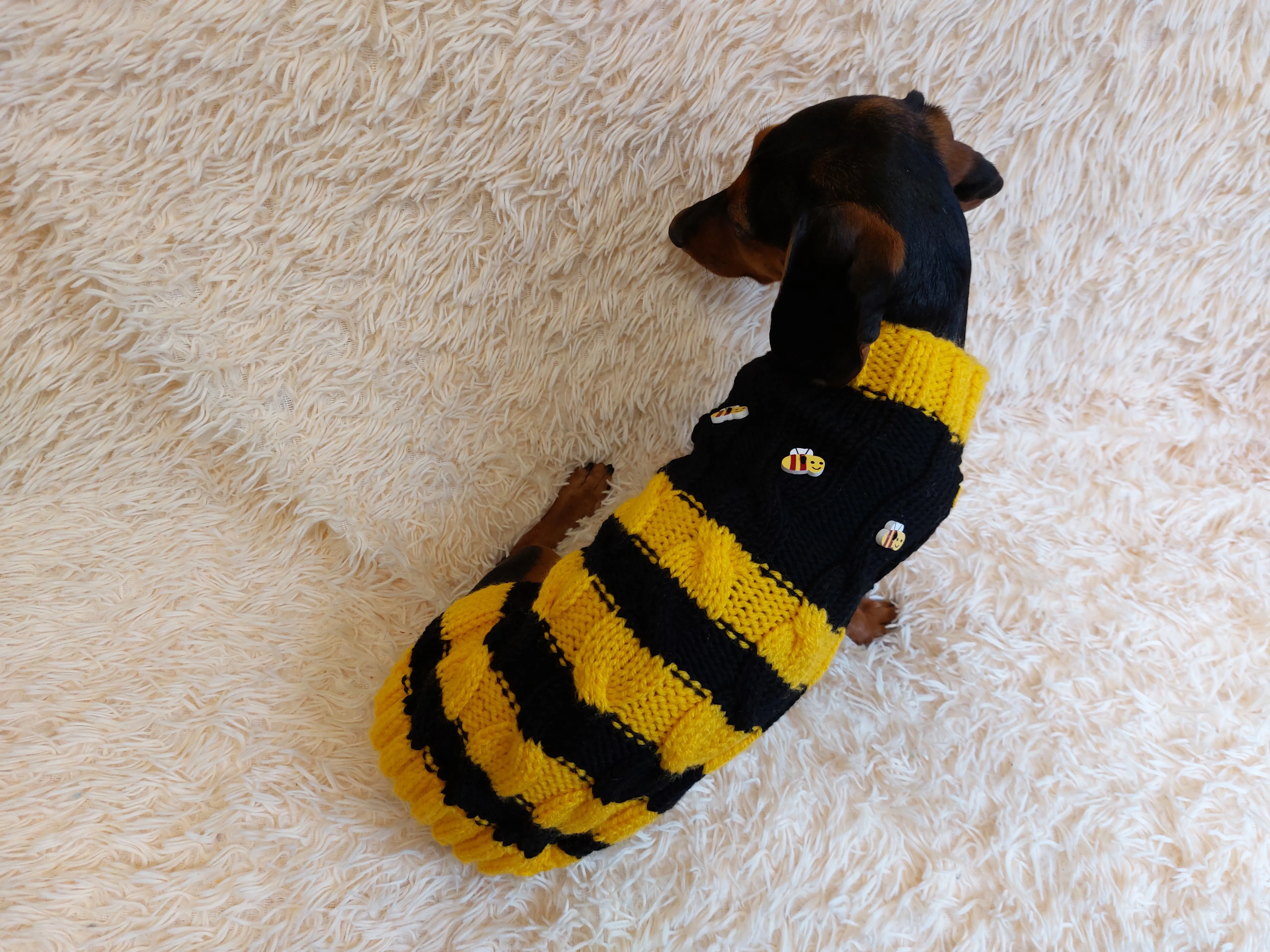 Bee knitted jumper for pets, bee sweater for dog, dachshund bee dog sweater