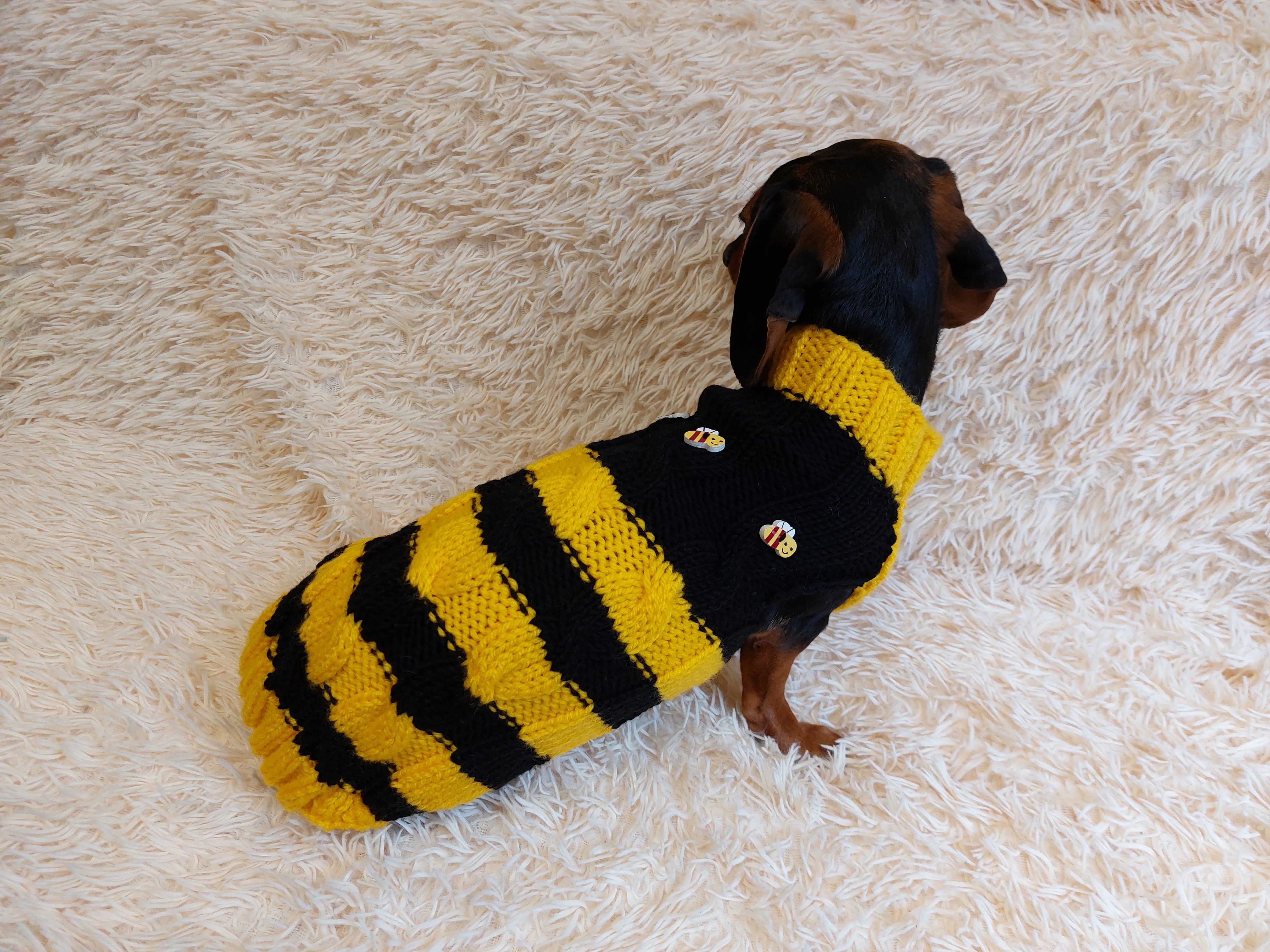 Bee knitted jumper for pets, bee sweater for dog, dachshund bee dog sweater