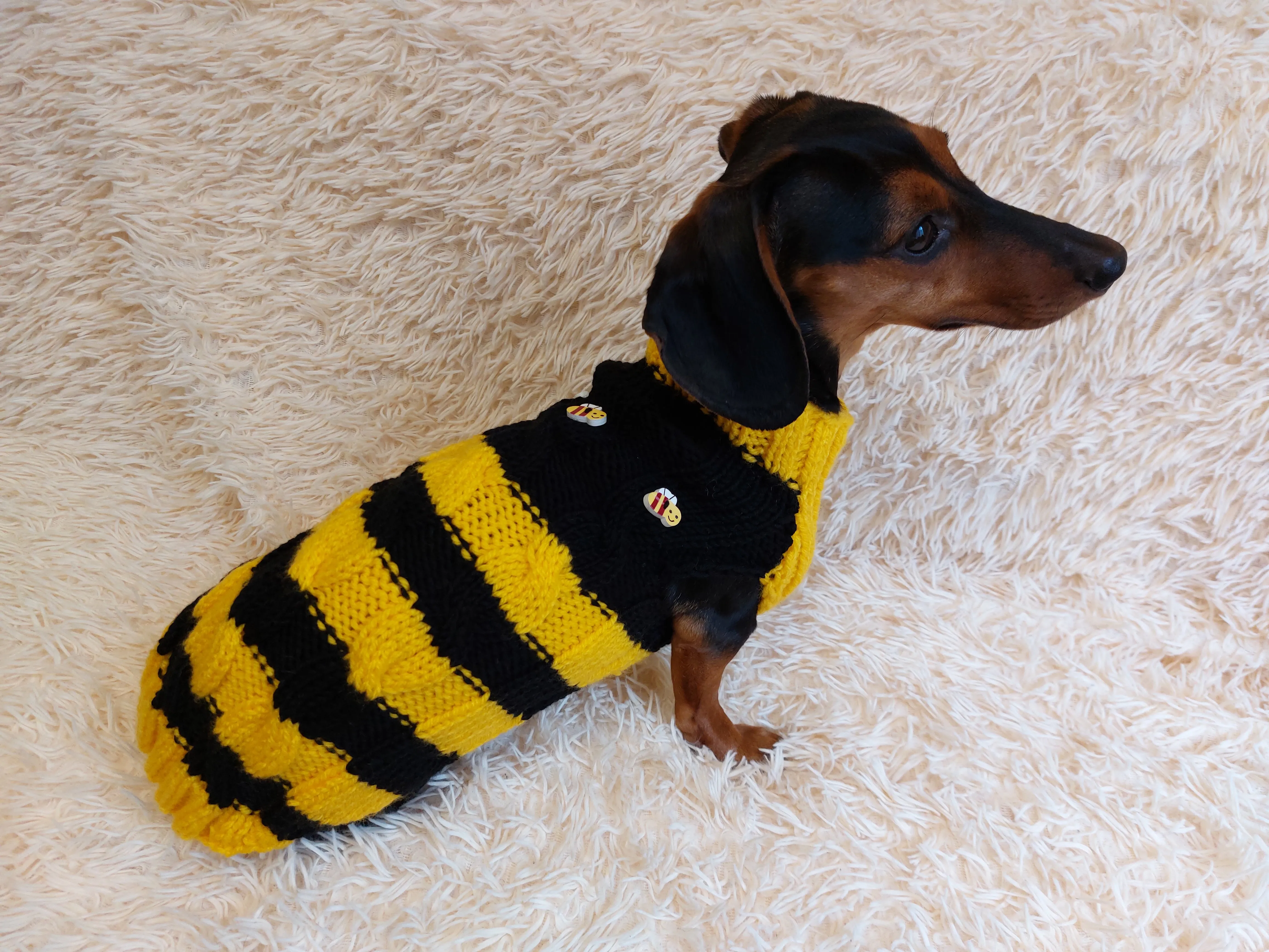 Bee knitted jumper for pets, bee sweater for dog, dachshund bee dog sweater