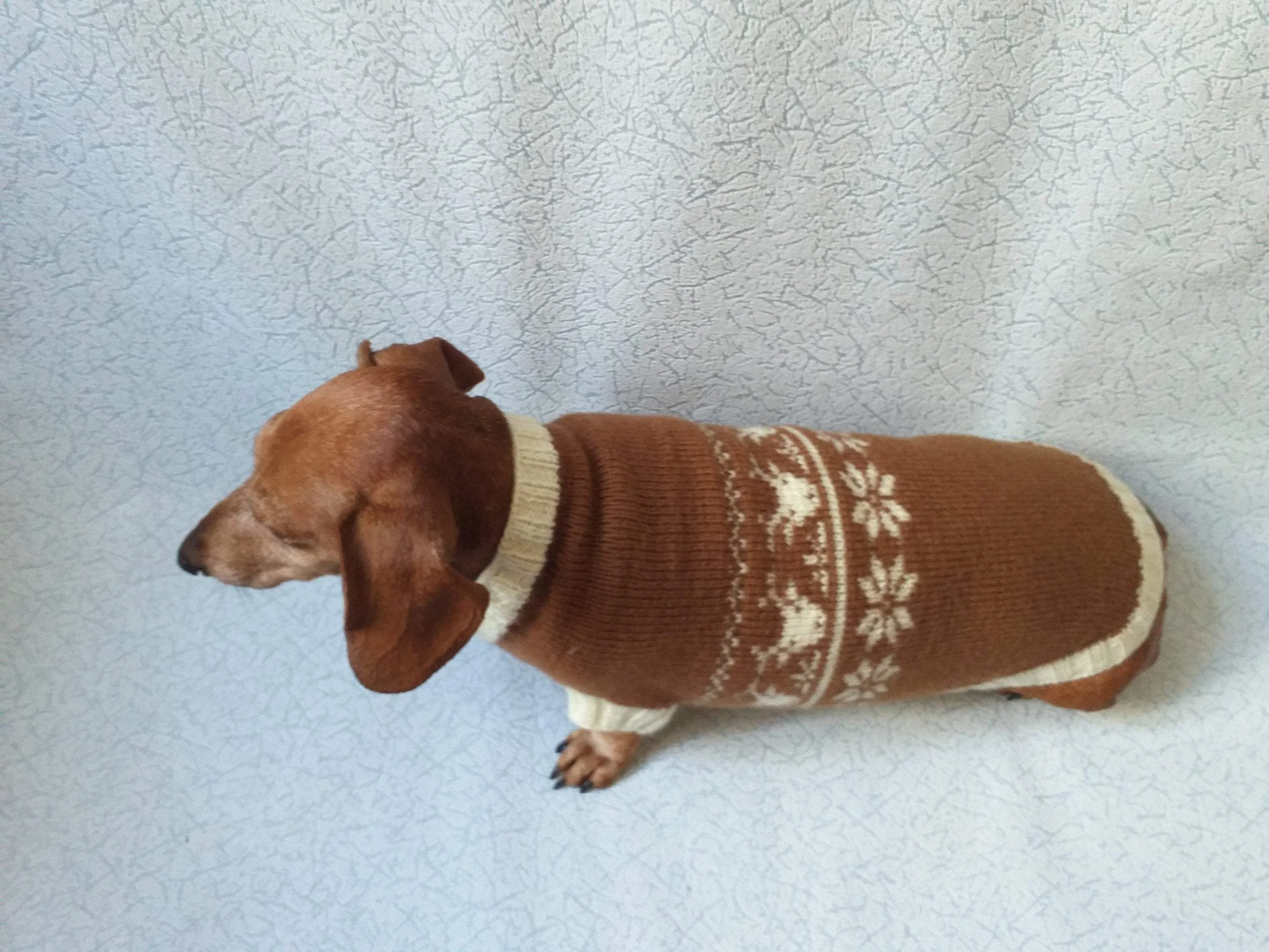 Christmas Dachshund Deer Sweater