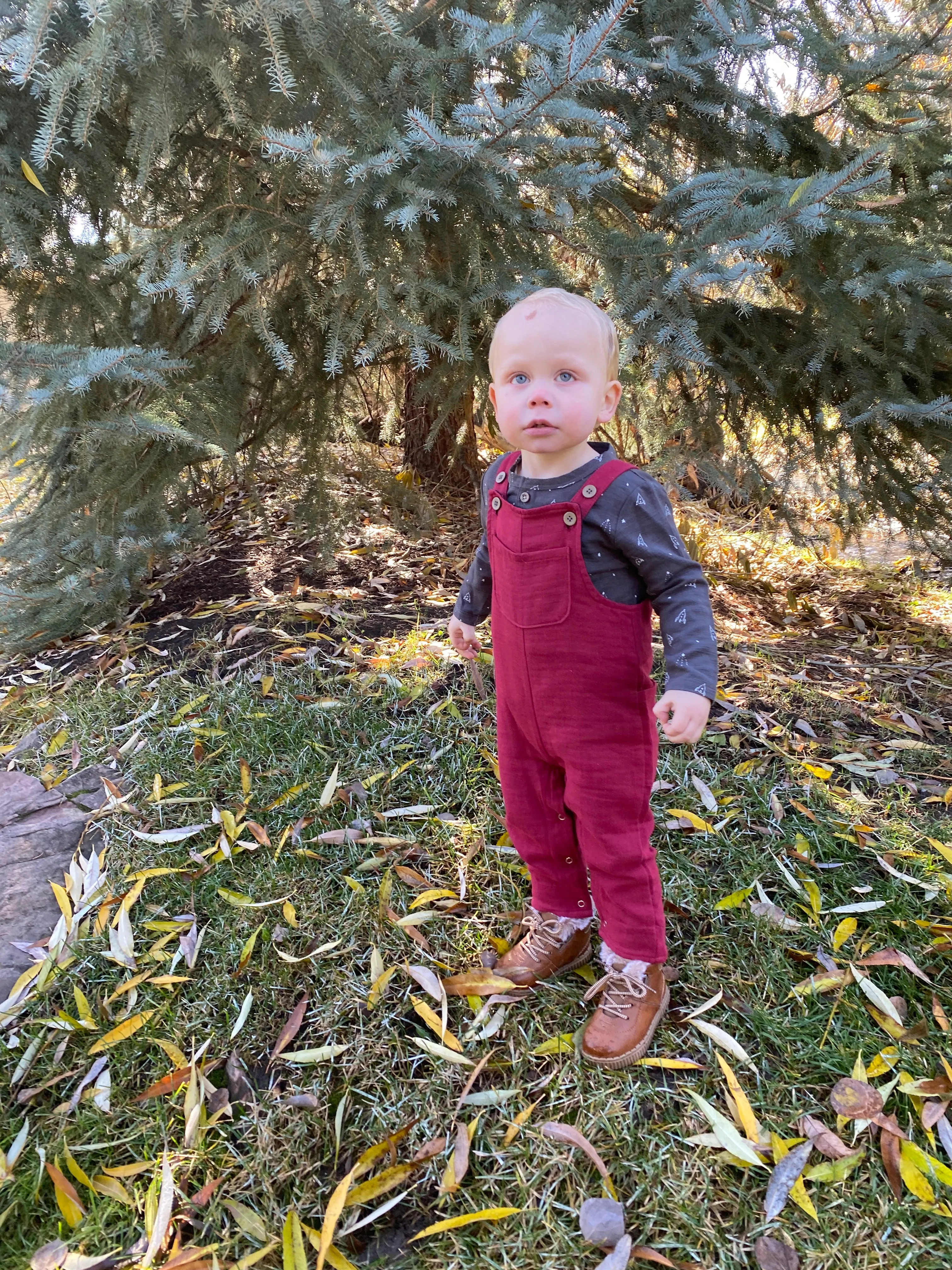 Jo overall in burgundy