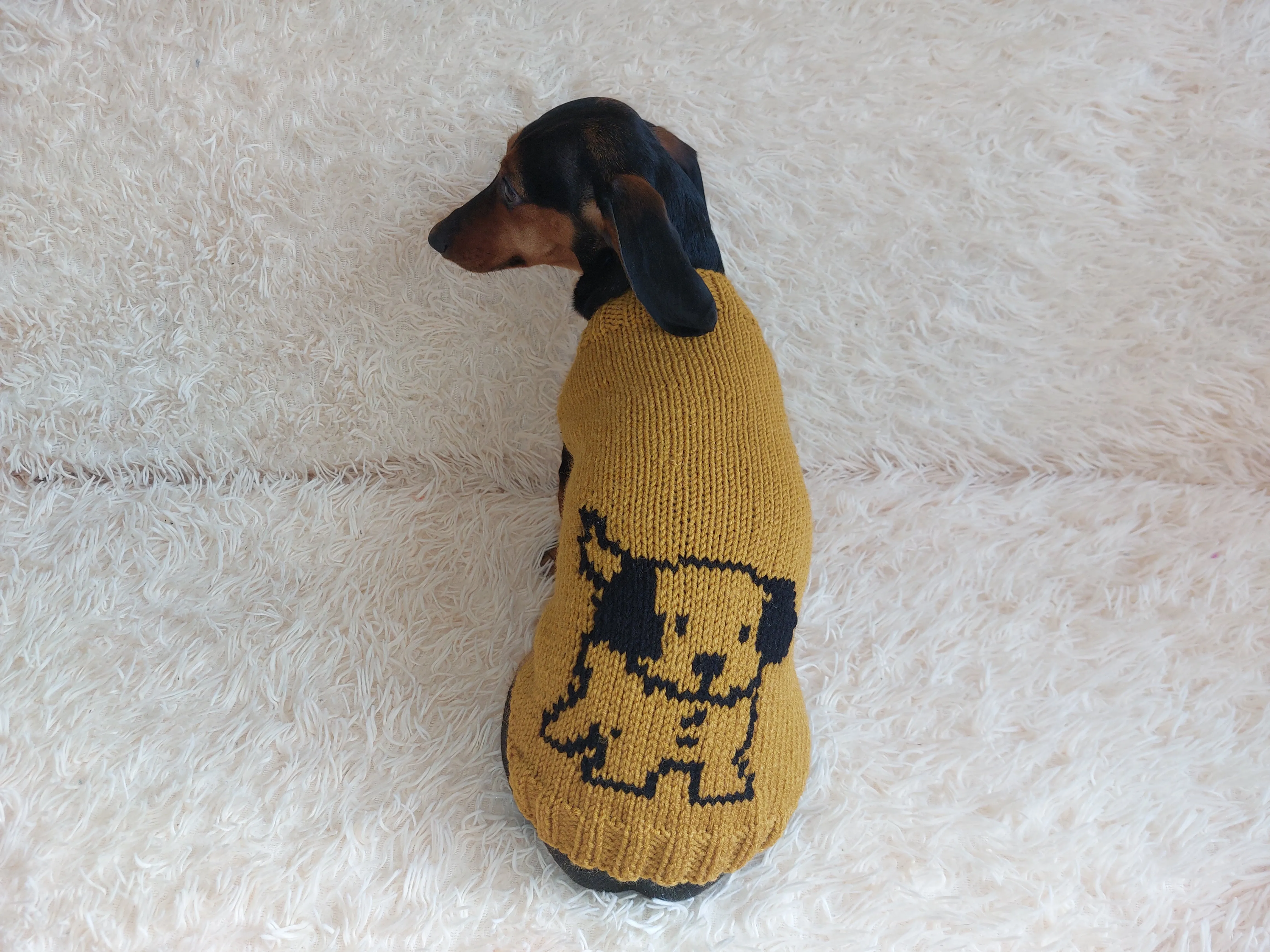 Knitted sweater with a dog for dachshunds or small dogs,Knitted clothes for dogs jumper with a dog