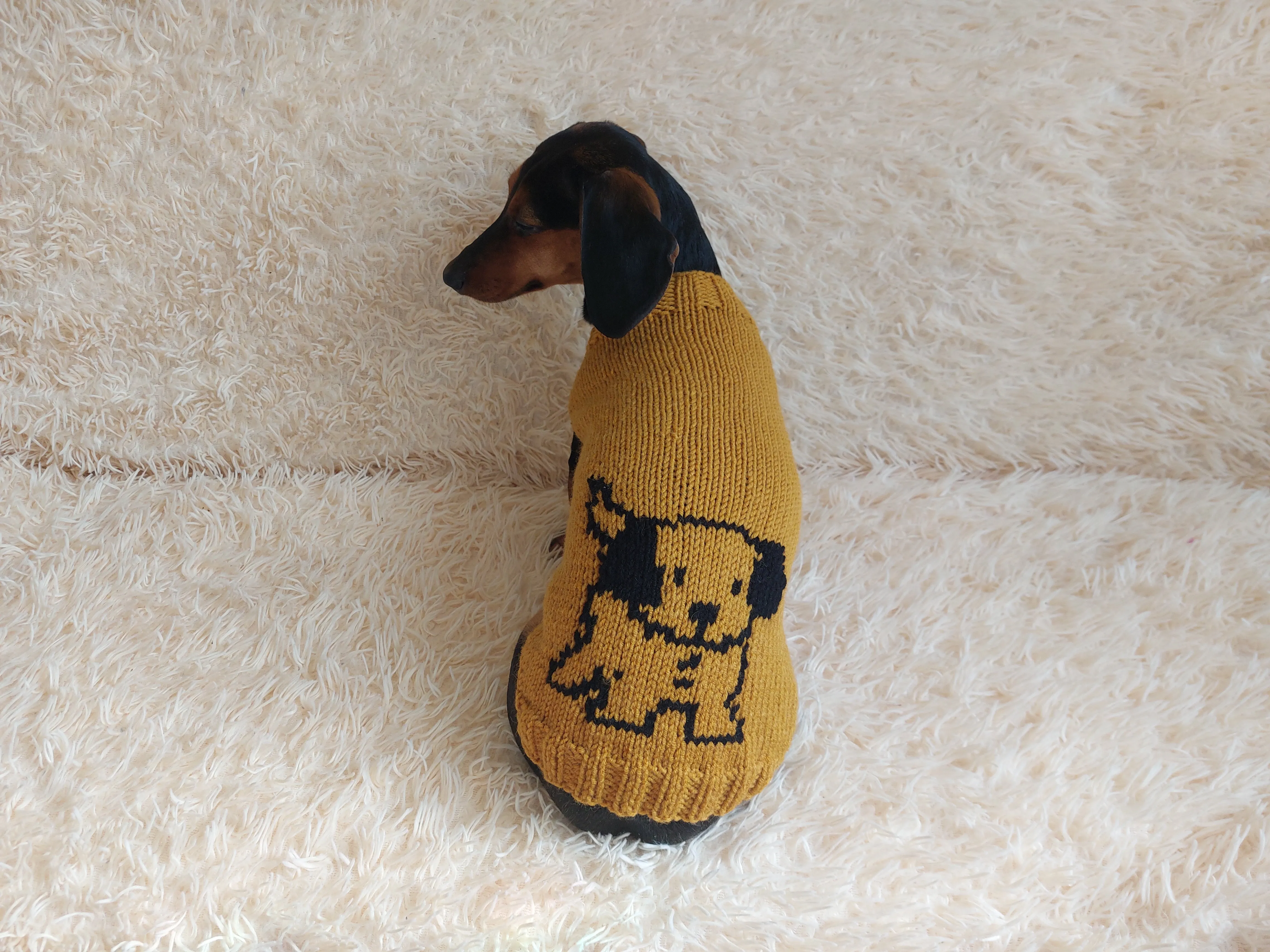 Knitted sweater with a dog for dachshunds or small dogs,Knitted clothes for dogs jumper with a dog