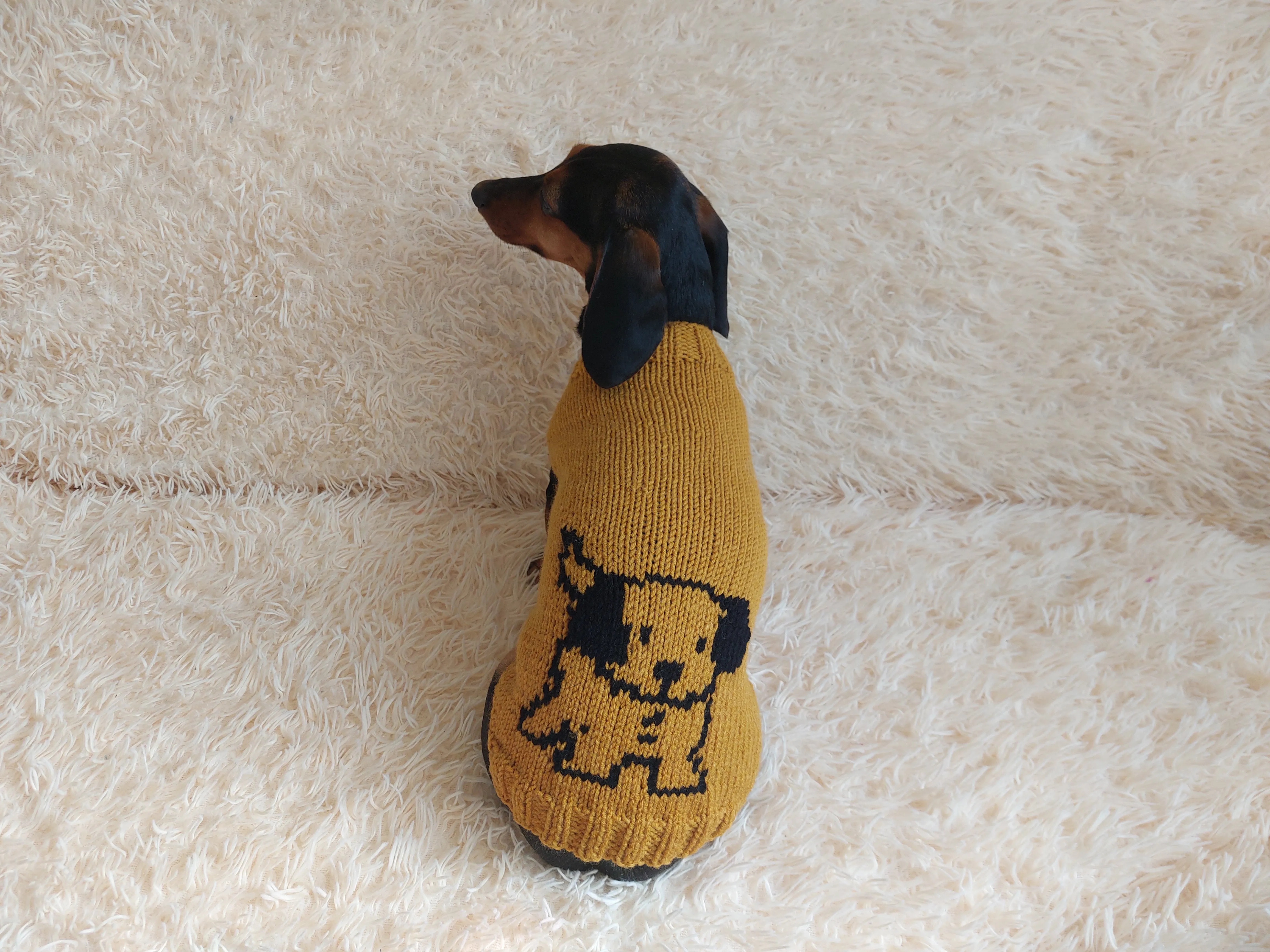 Knitted sweater with a dog for dachshunds or small dogs,Knitted clothes for dogs jumper with a dog