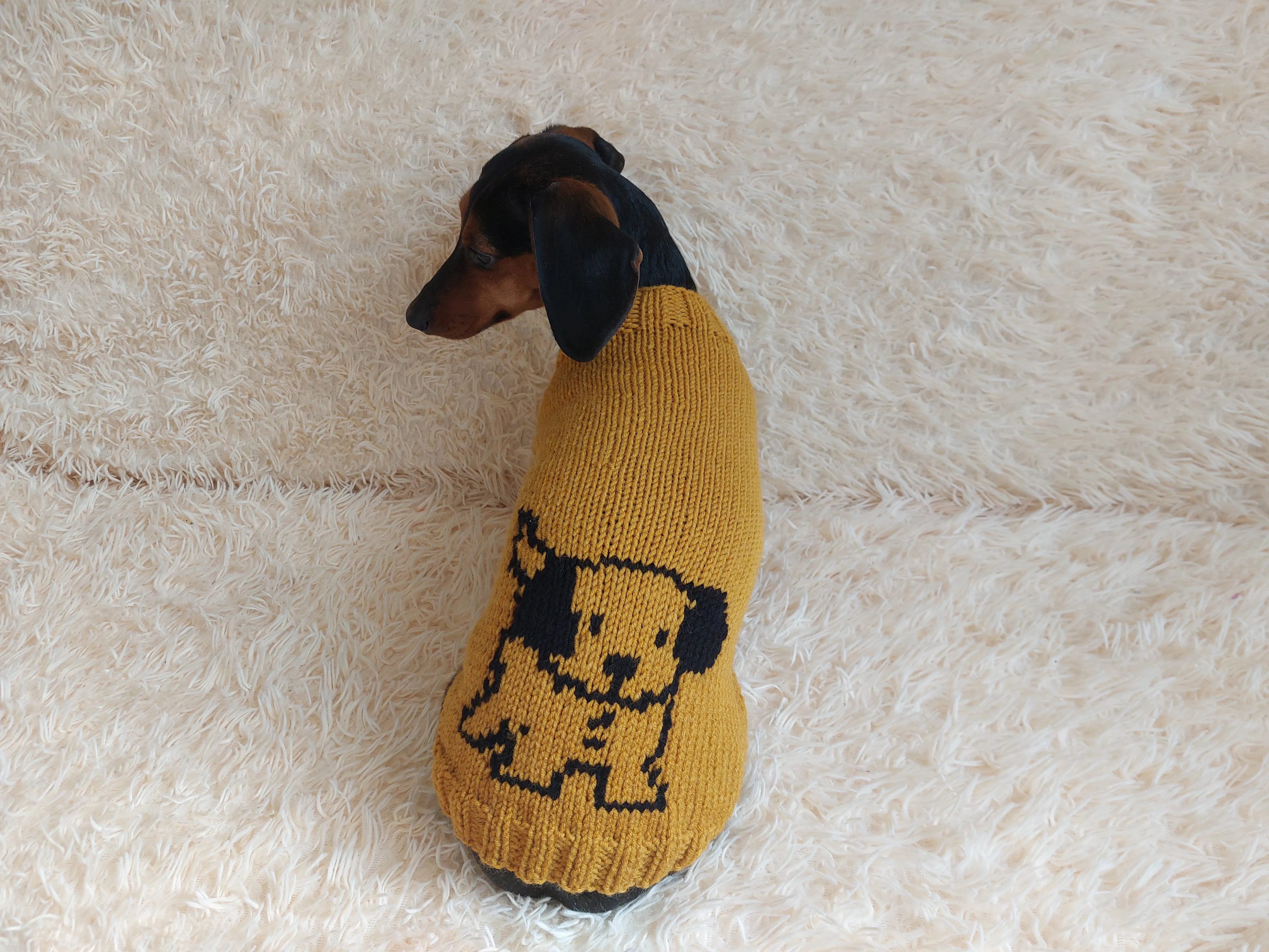 Knitted sweater with a dog for dachshunds or small dogs,Knitted clothes for dogs jumper with a dog