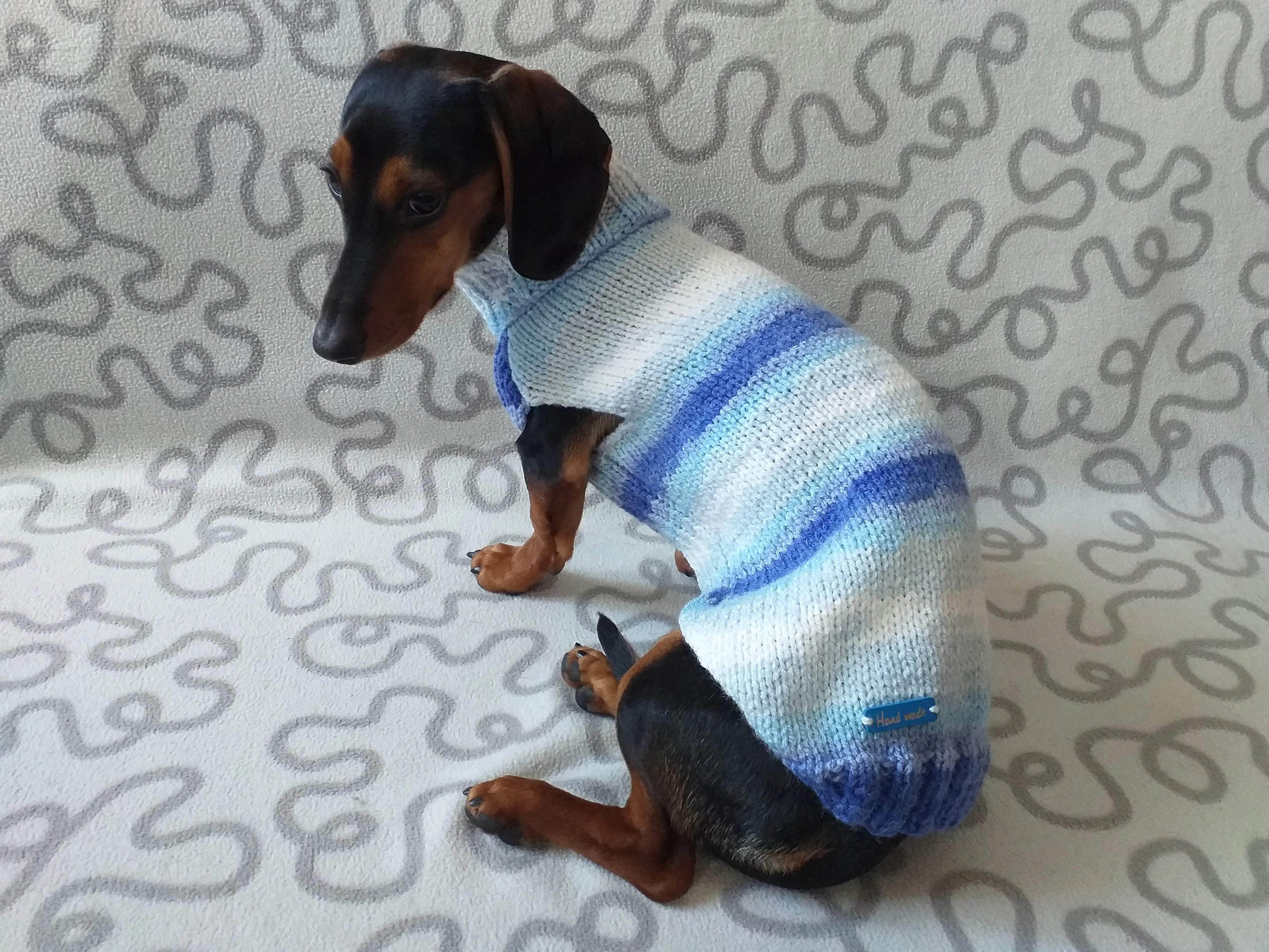 Melange sweater for mini dachshund,Dachshund Sweater, Dog Clothes, Dog sweater, Dachshund clothes, Wiener dog clothes, Winter dog sweater