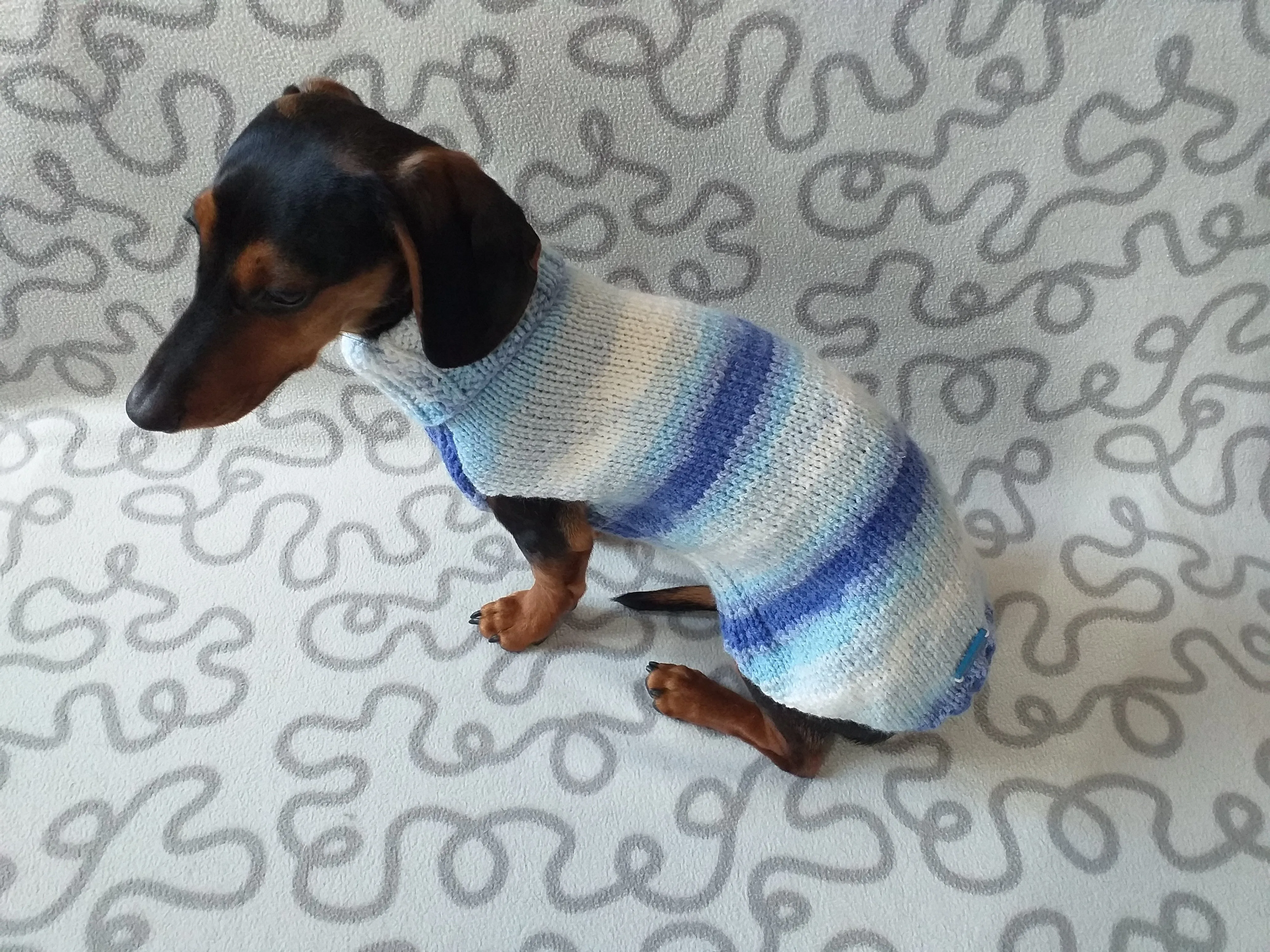 Melange sweater for mini dachshund,Dachshund Sweater, Dog Clothes, Dog sweater, Dachshund clothes, Wiener dog clothes, Winter dog sweater