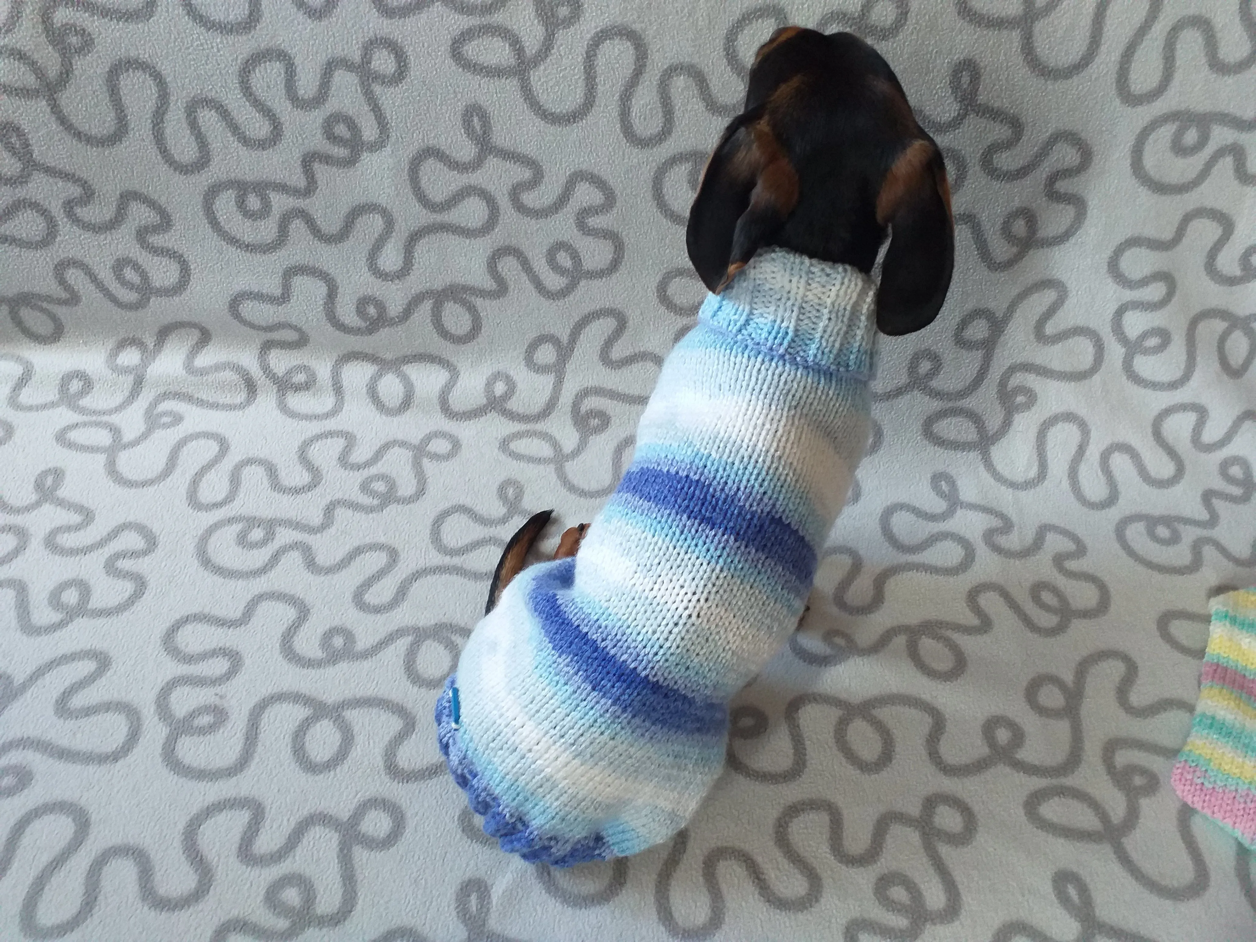 Melange sweater for mini dachshund,Dachshund Sweater, Dog Clothes, Dog sweater, Dachshund clothes, Wiener dog clothes, Winter dog sweater